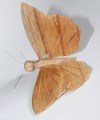 Vlinder naturel 800